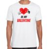 Mens Softstyle Tee Shirt Thumbnail