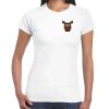Womens Softstyle Tee Shirt Thumbnail